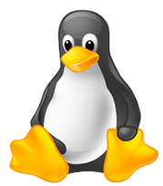 Linux installé par MonatoutPC